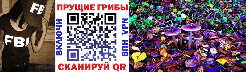 Псилоцибиновые грибы ЛСД  Ахтубинск 